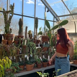 Meet your Posher, Daisy